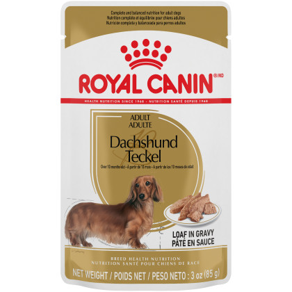 Royal Canin Breed Health Nutrition Dachshund Pouch Dog Food
