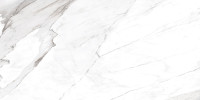 Starling Calacatta 24×48 Field Tile Polished Rectified