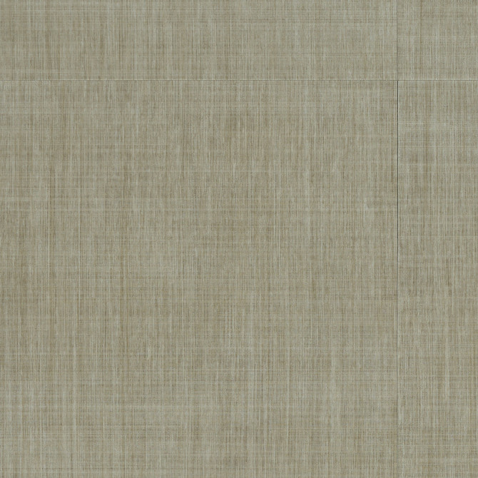 Color Variation Image