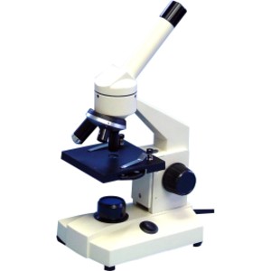 Basic Compound Microscope, Inclined with Illumination