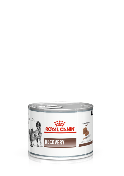 Recovery