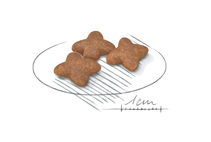 Mini Adult kibble