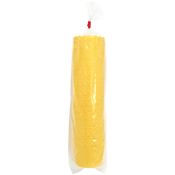 Yellow Scalloped Baking Cups