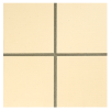 Quarry Palomino 6×6 Field Tile Smooth Rectified