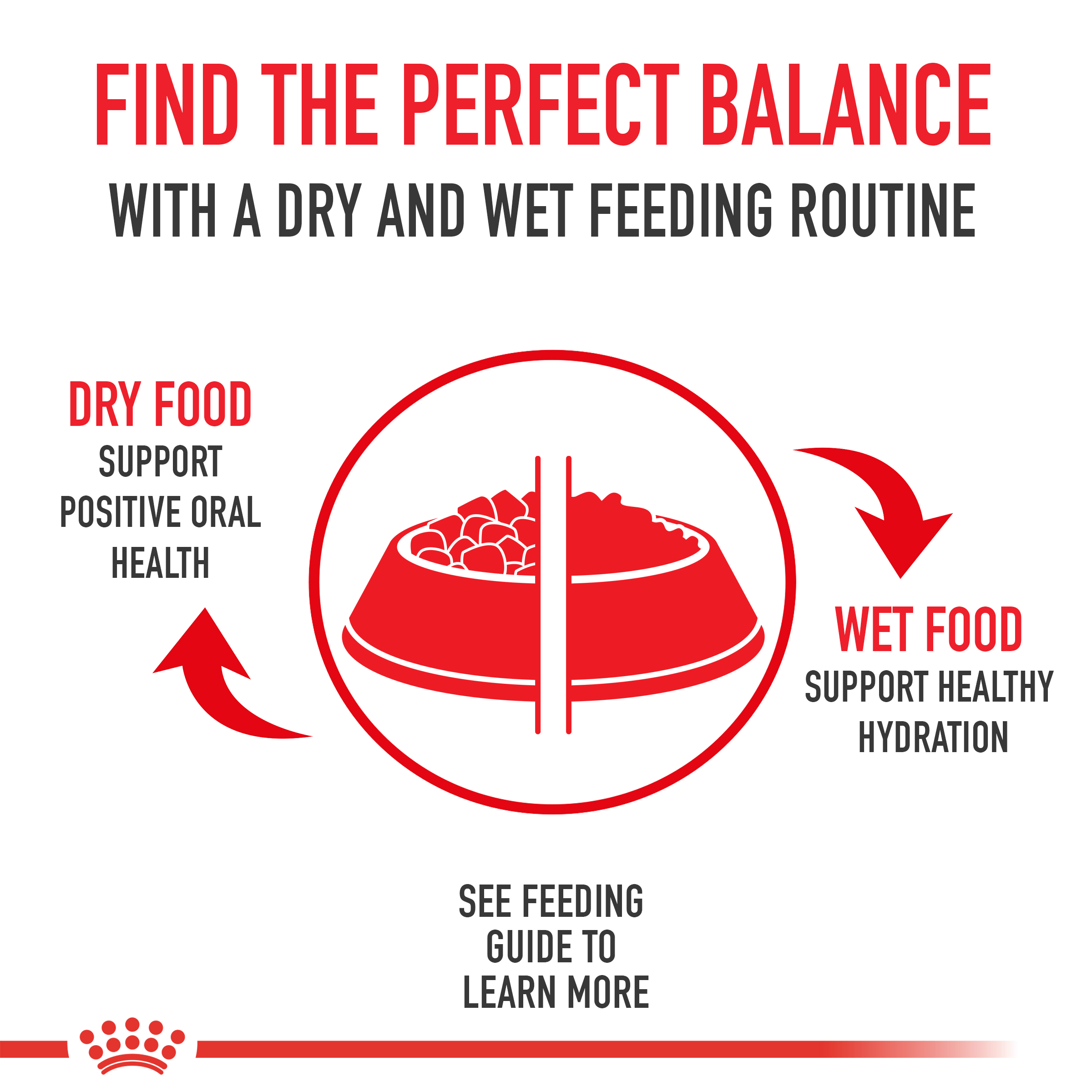 Aroma Selective Dry Cat Food