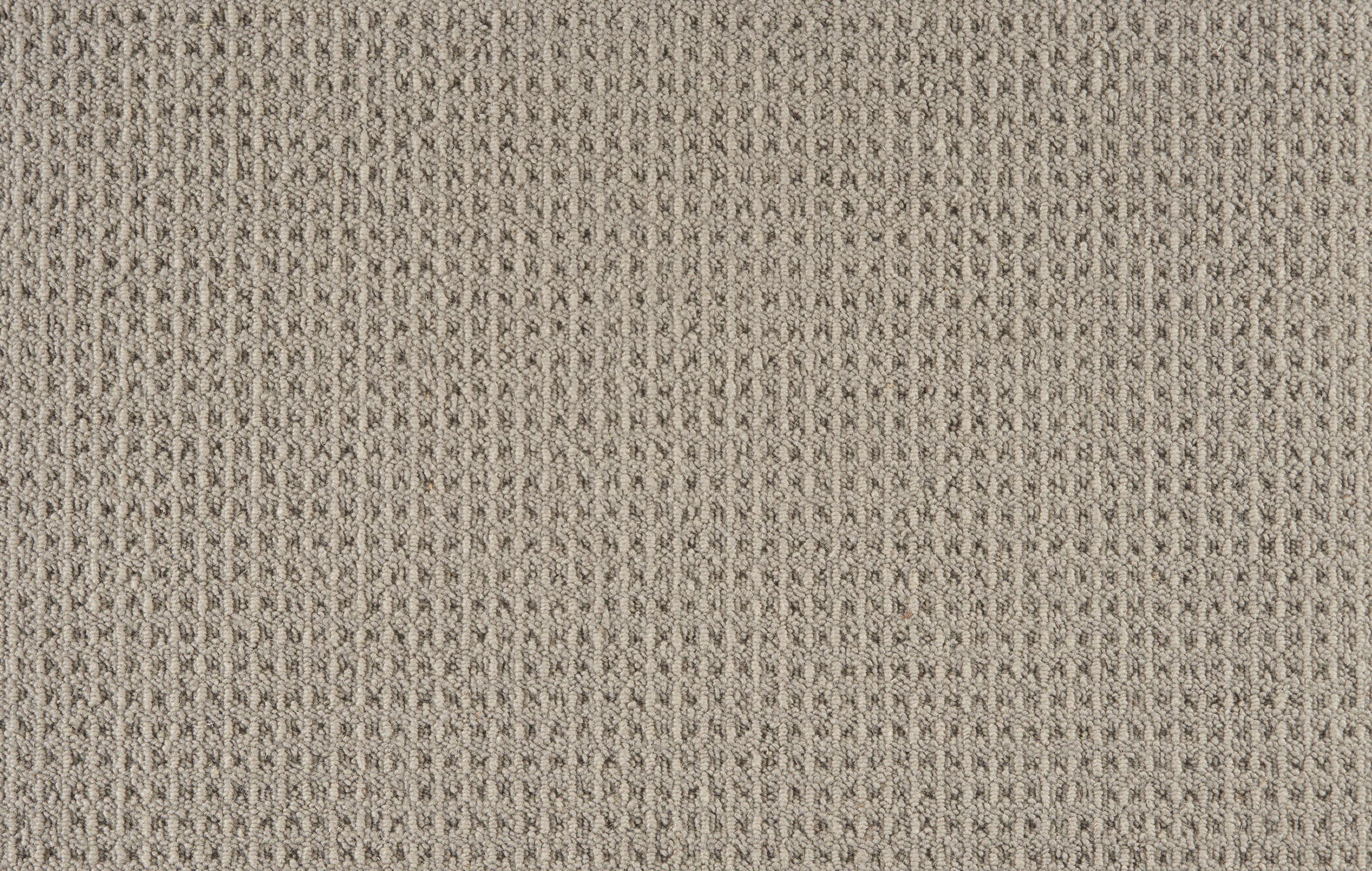 color-rug1