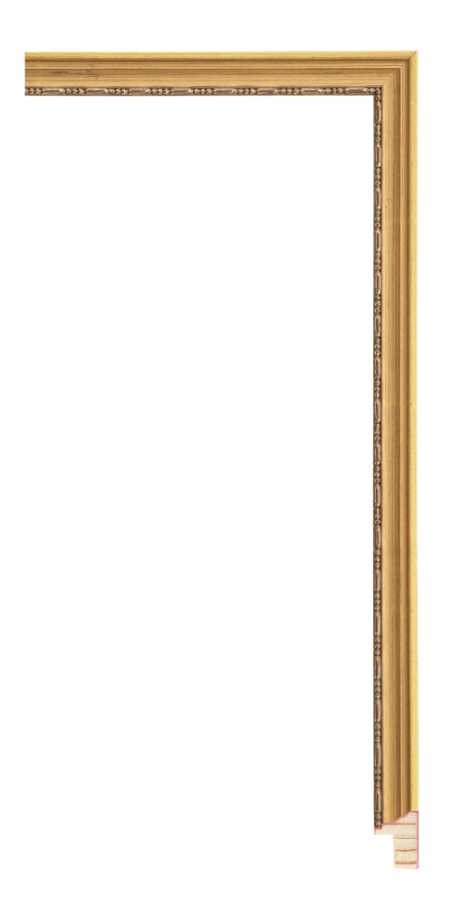 Frame Moulding - Senelar Gold 3/4 inches | Larson-Juhl