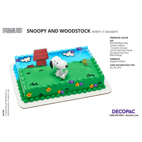 Peanuts® Snoopy® and Woodstock® Cake Decorating Instruction Card