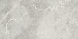 Apollo Argento 12×24 Honed