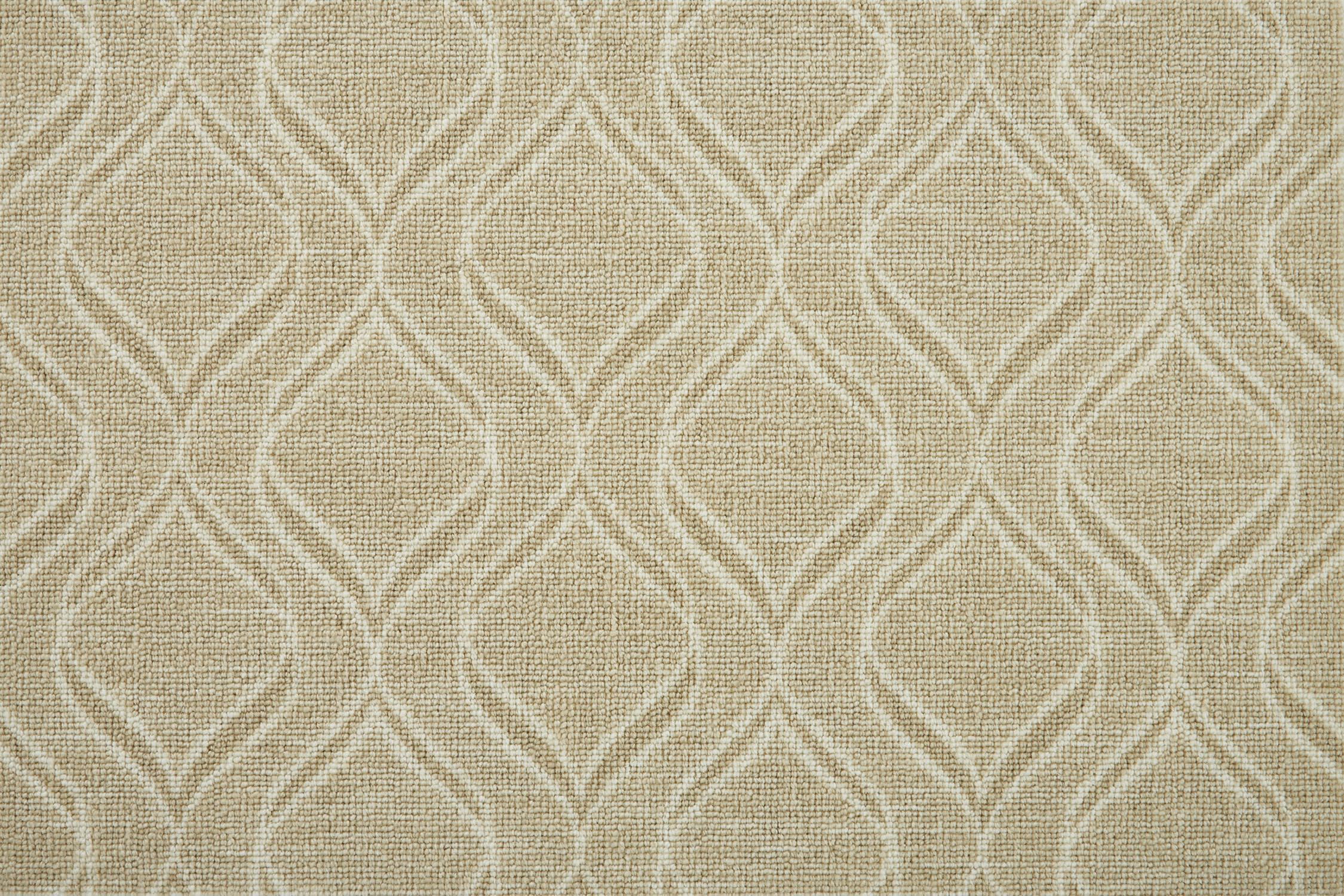 color-rug1