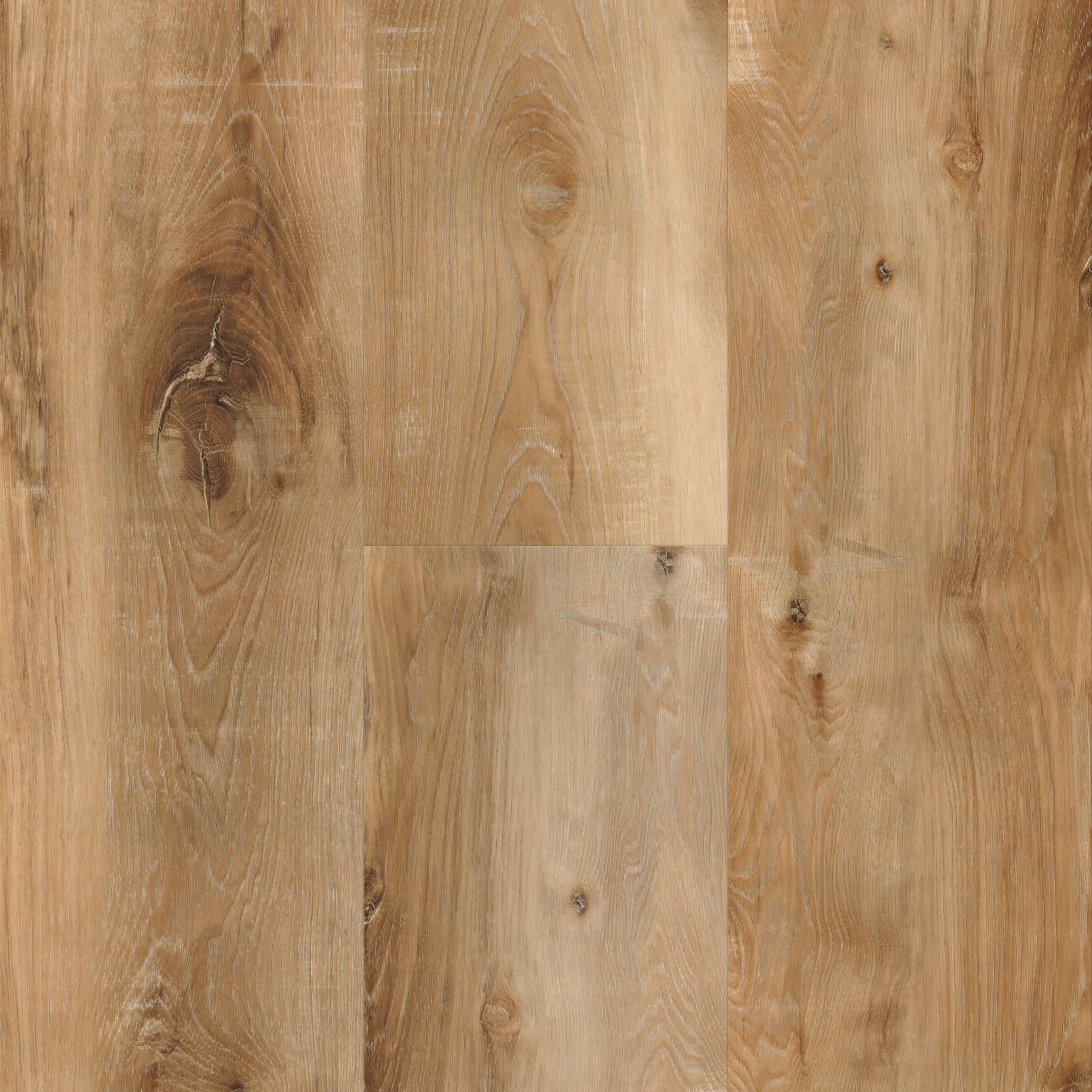 Fair Northshore Longboards Icons Threshold view 4