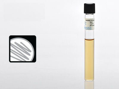 Hardy Diagnostics THIOGLYCOLLATE, W/O INDICATOR 16X125MM W/O INDICATOR (20/BX)