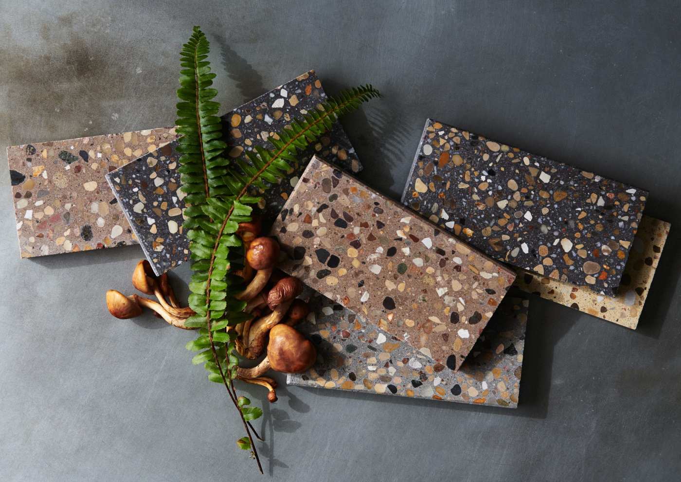 a group of stone tiles and ferns on a frey surface.