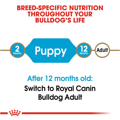 Bulldog Puppy Dry Dog Food