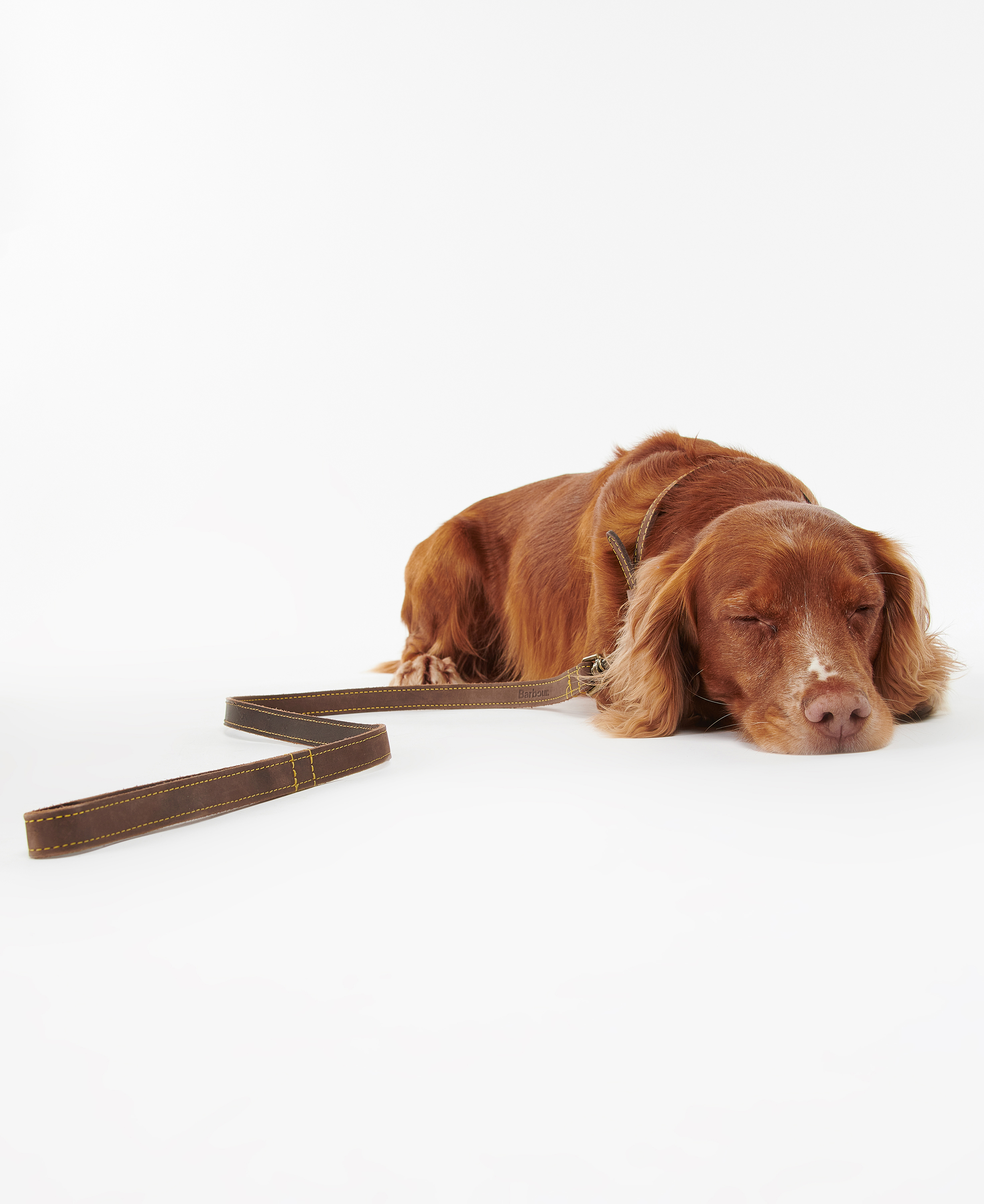 Leather Dog Lead image number 1