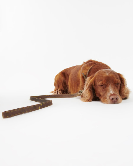 Leather Dog Lead