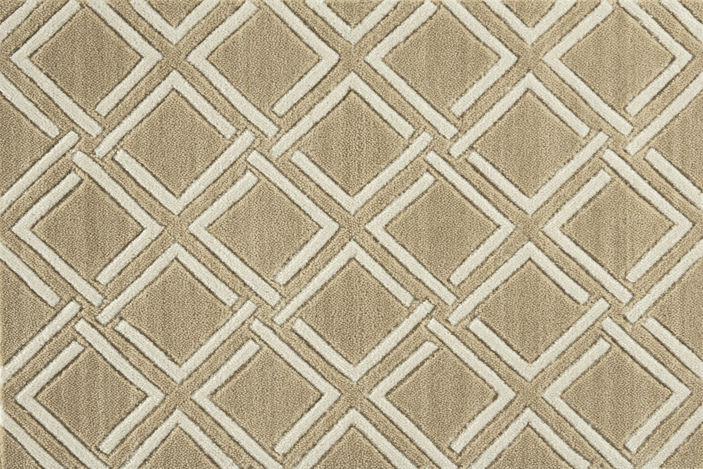 color-rug1