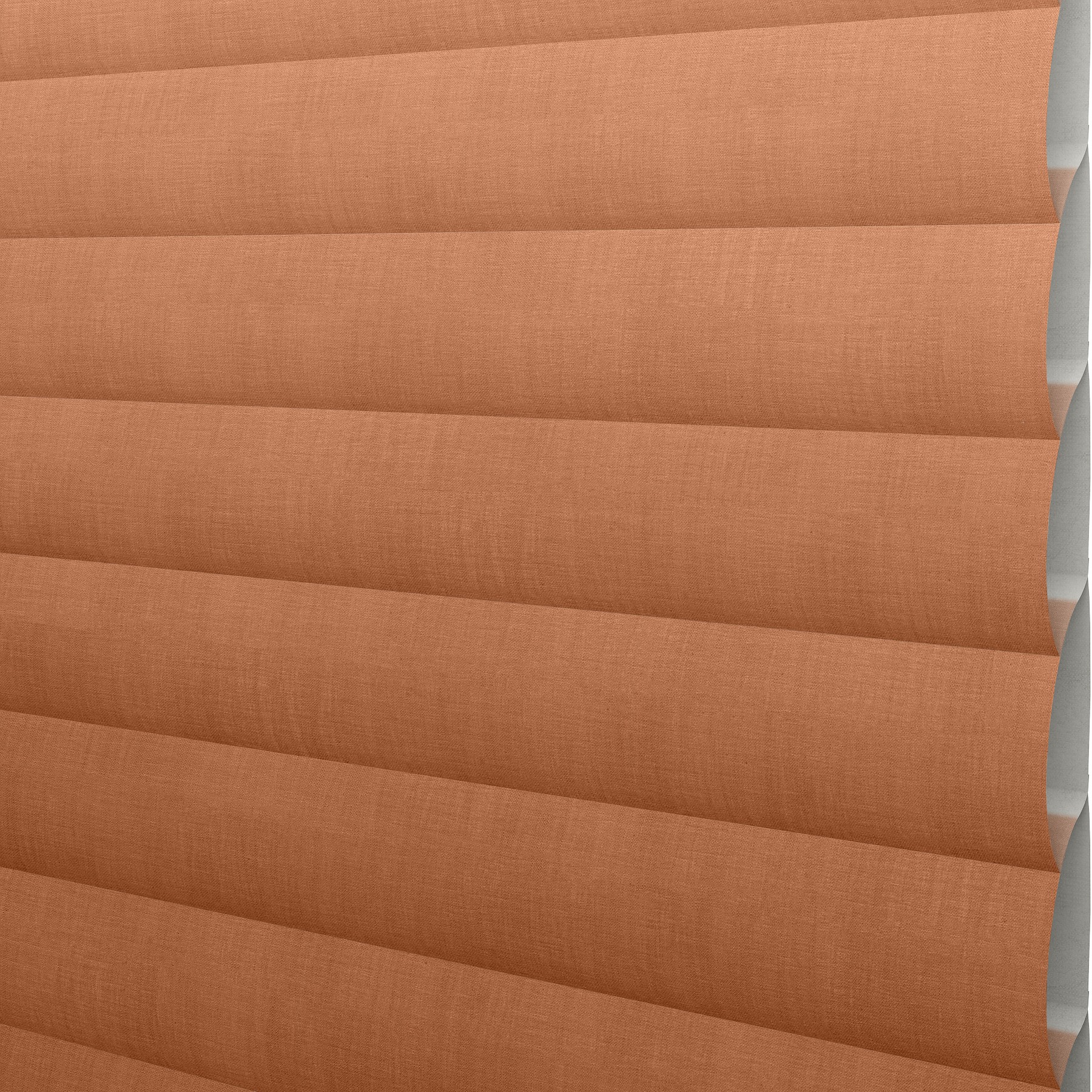 SN02 258 Sonnette™ Blinds