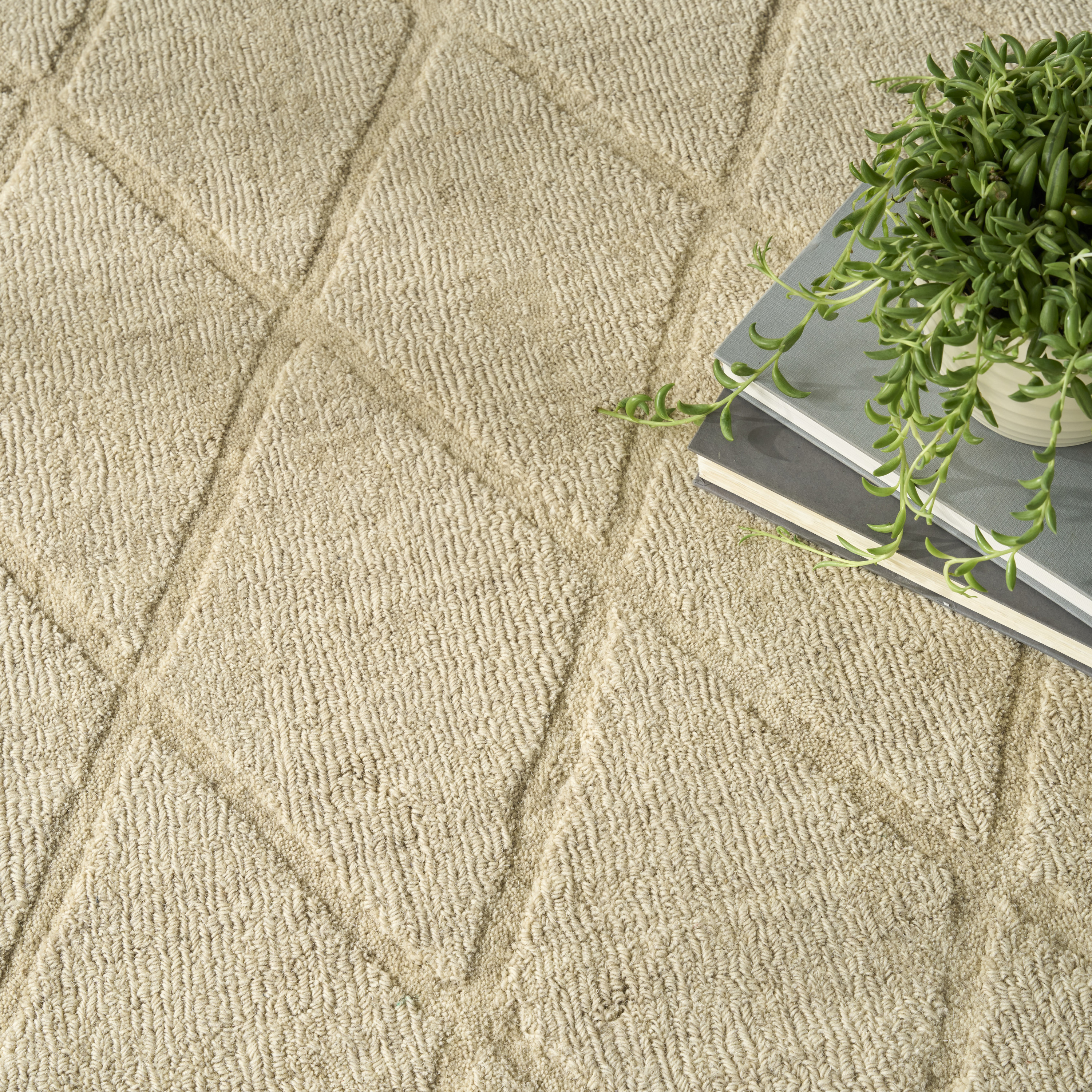 Nourison Wool Haven 5'3" x 7'3" Beige Modern Indoor Rug