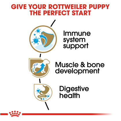 Rottweiler Puppy Dry Dog Food