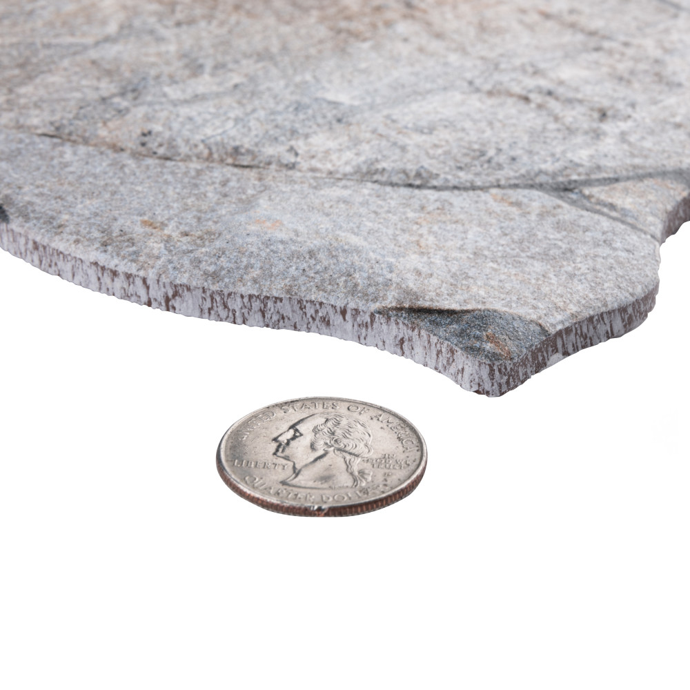 Sample – Masia Andorra Gris Ceramic Wall Tile