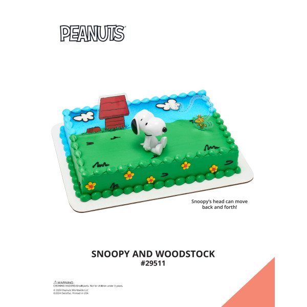 Peanuts® Snoopy® and Woodstock® The Magic of Cakes® Icing Only Page