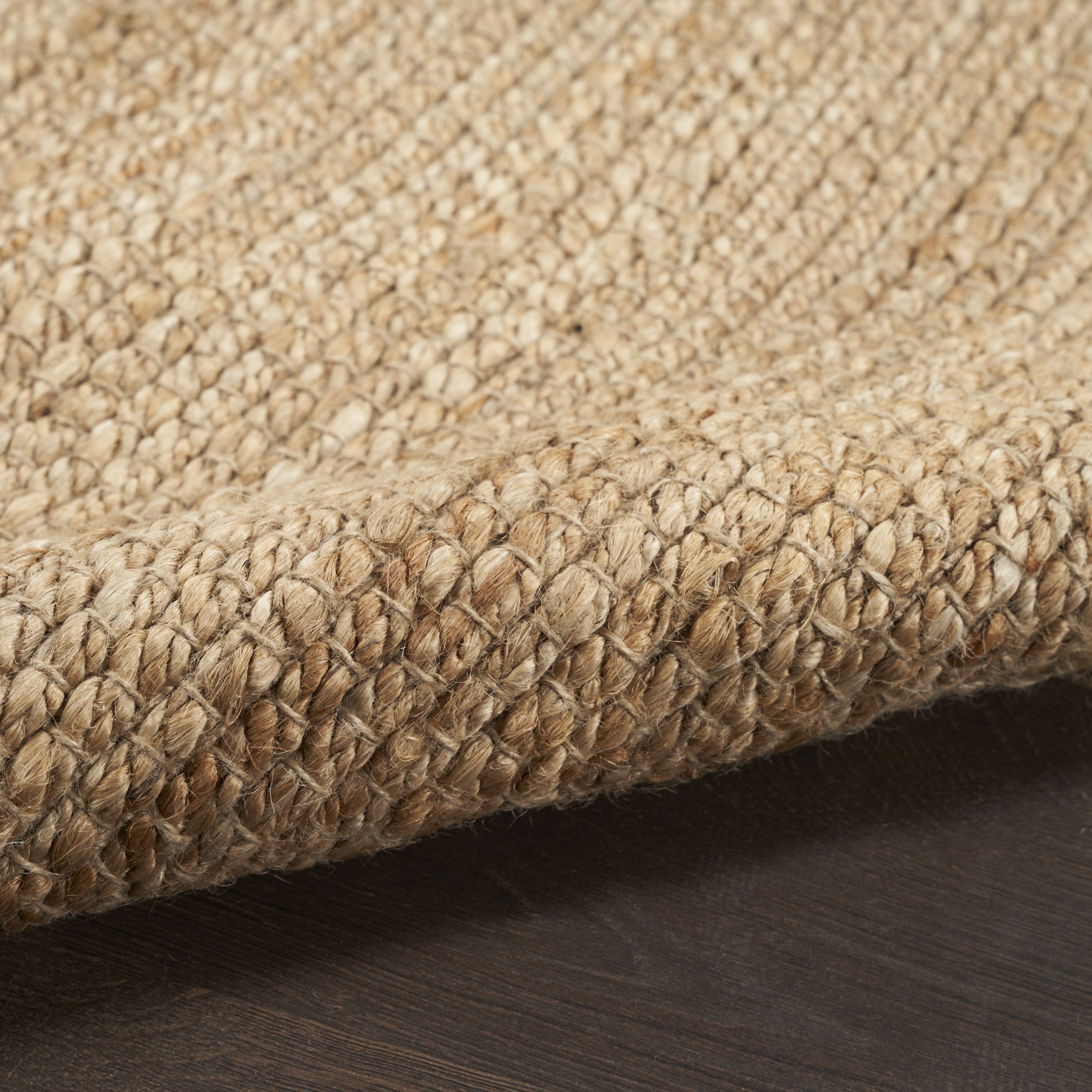 Nourison Natural Jute 2' x 3' Natural Farmhouse Indoor Rug
