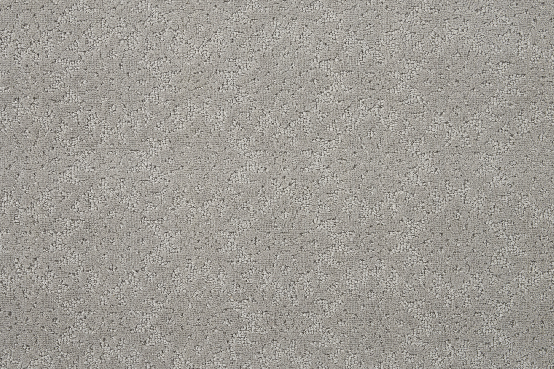 color-rug1