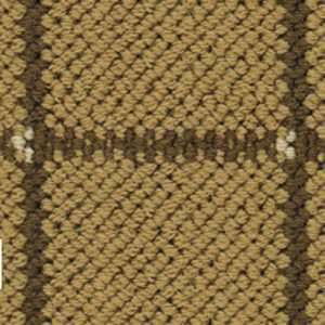 color-rug1