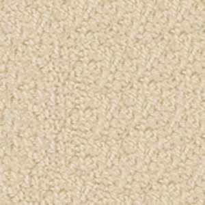 color-rug1
