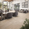 Cascade Beige 12x24