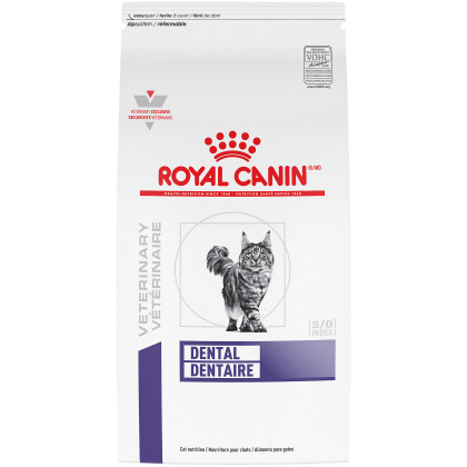 Dental Dry Cat Food