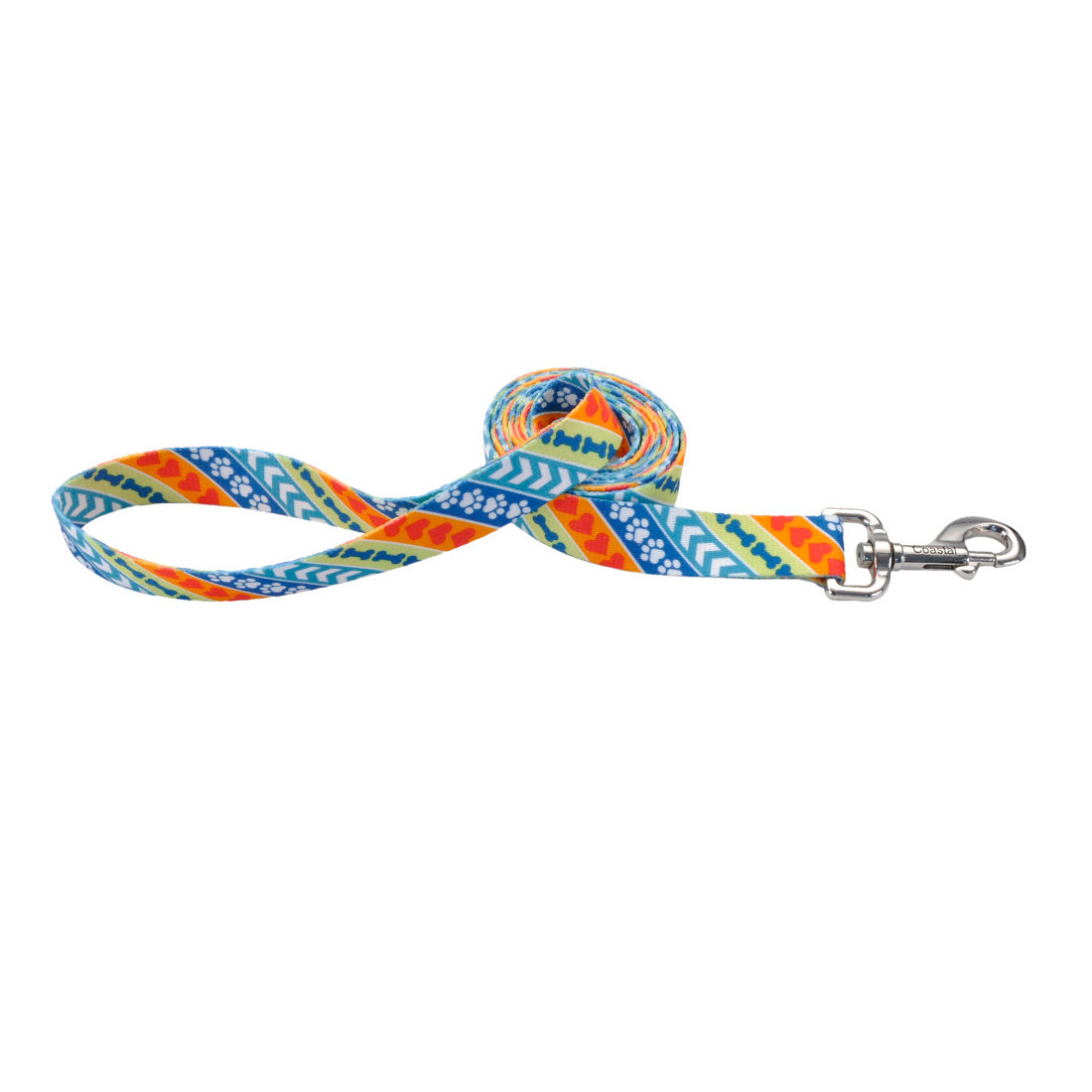 Leader Dogs for the Blind Styles Dog Leash