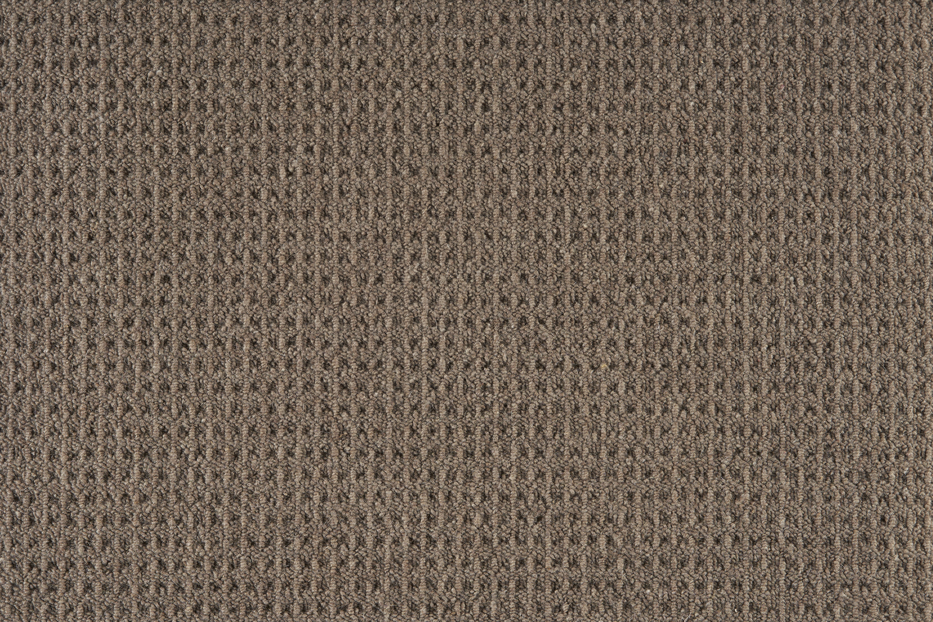 color-rug1