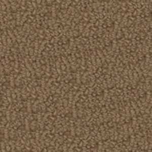 color-rug1
