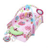 Sweet Songbirds™ Baby’s Play Place™ Activity Gym