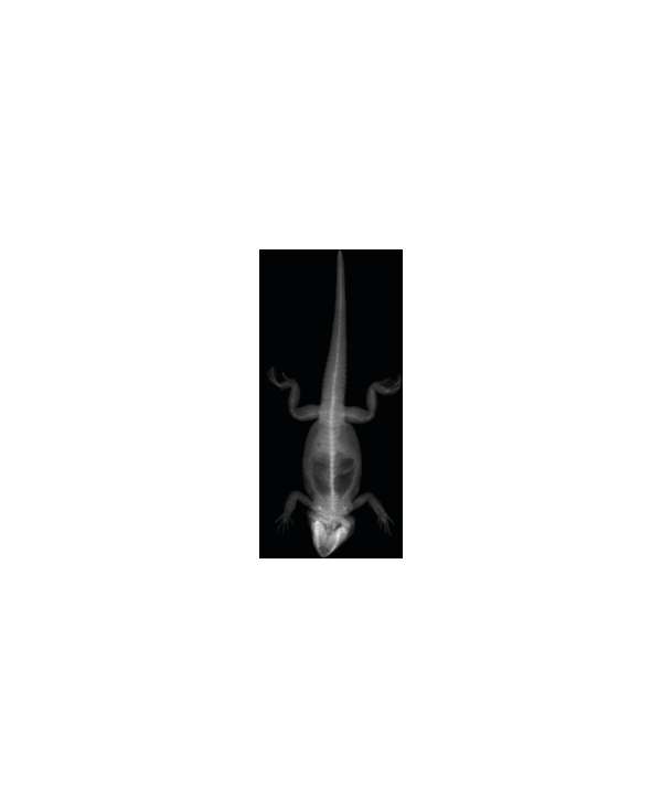 s--xEmDT0jJ--/t7fu5ujmk8otiepaycnx.jpg