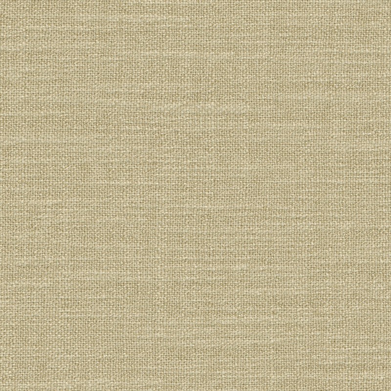 Toulouse 0656 Curtains