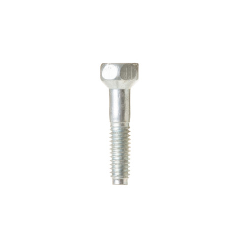 Screw