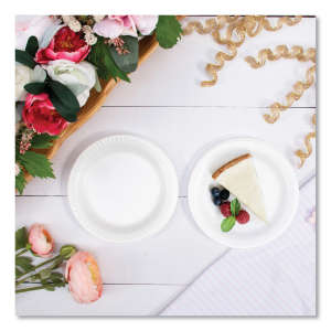 Dart, Concorde Foam Plate, 6" dia, White