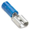 Sta-Kon® 250 Series Female Disconnects Blue 16 to 14 AWG Pack of 100