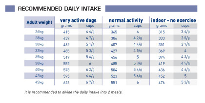 Senior consult mature large dog feeding guide