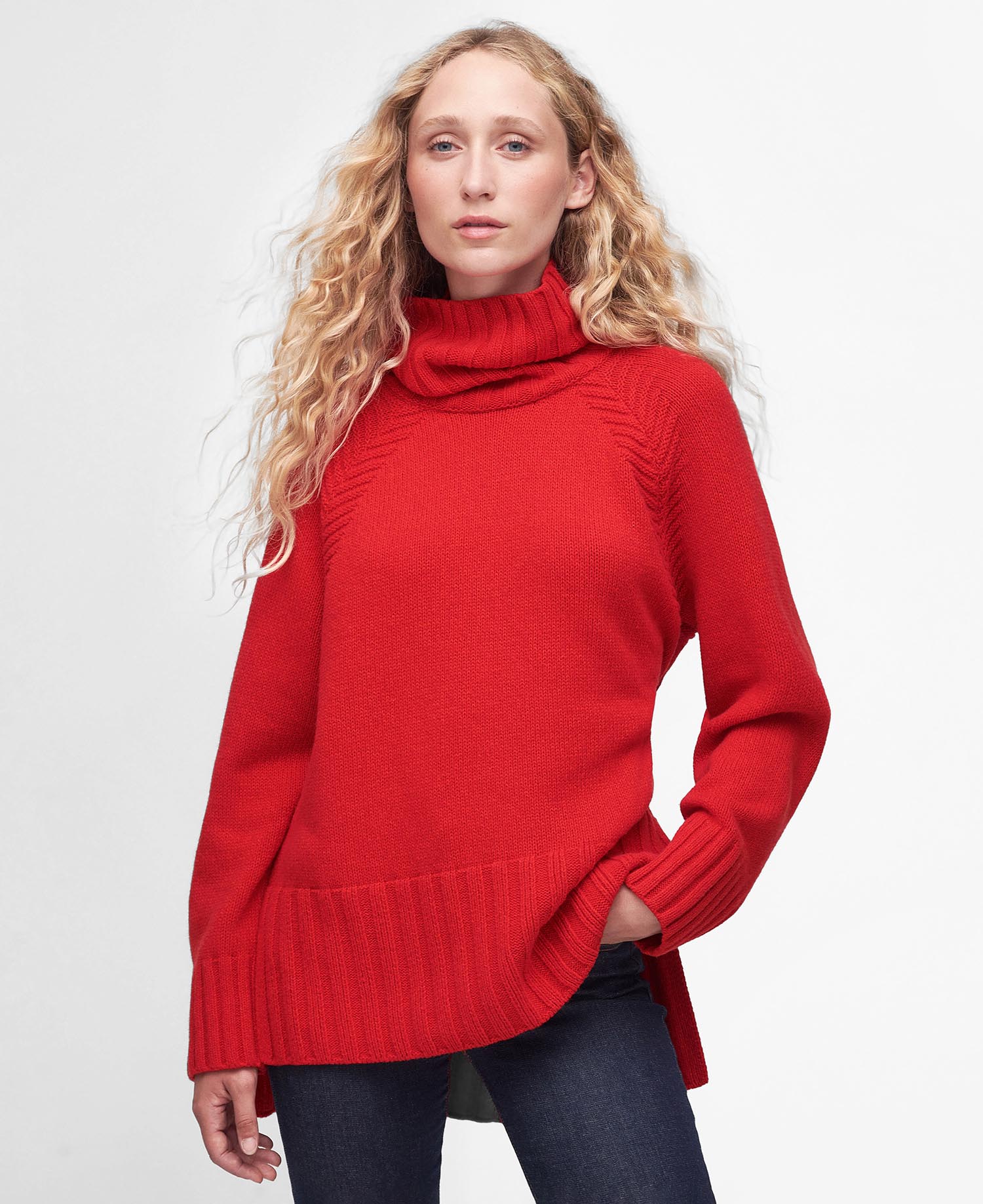Norma Rollneck Jumper image number 0