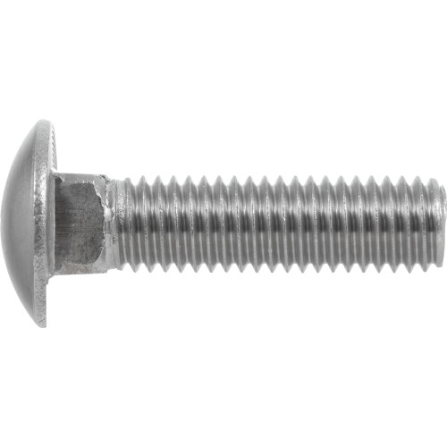 Stainless Steel Carriage Bolt 1/4" x 11/2" Carriage Bolts Bolts