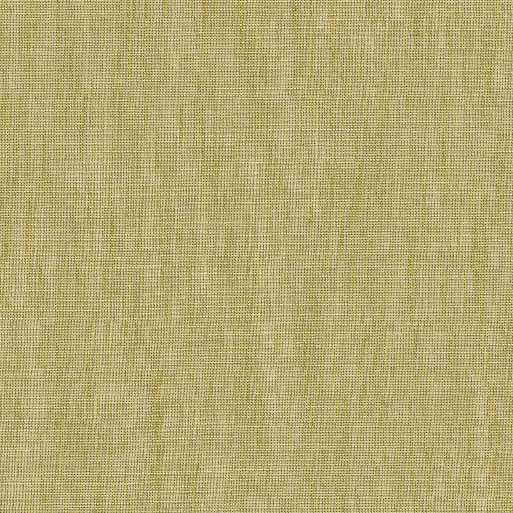 Forecast Forecast-06 Roman Blind