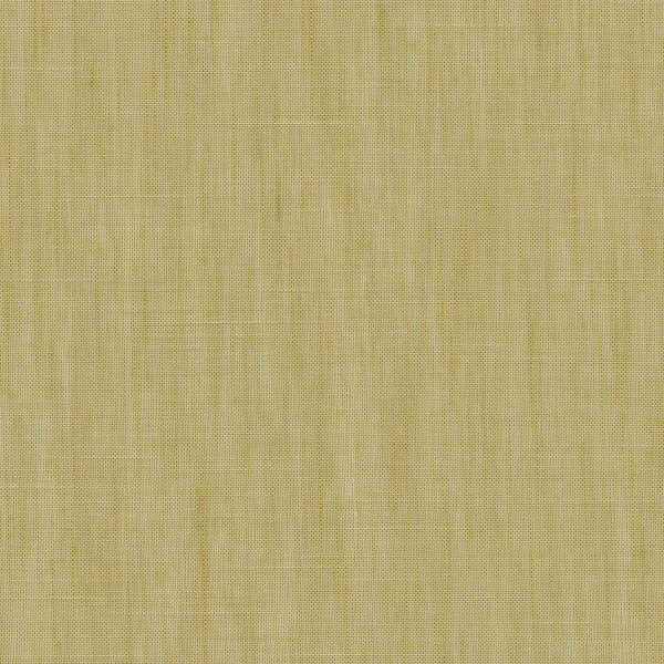 Forecast Forecast-06 Roman Blind