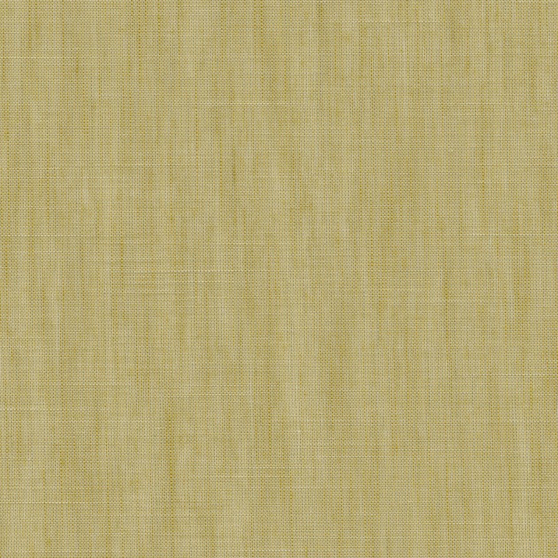 FORECAST-06 Curtains