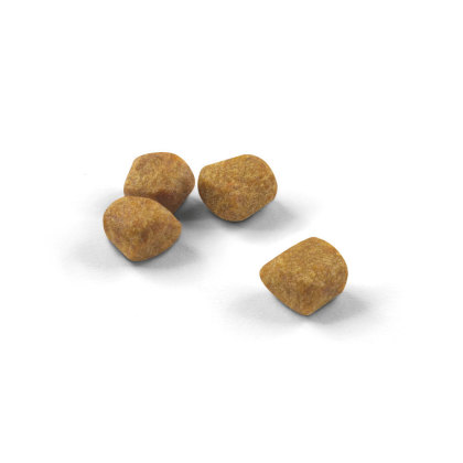 Indoor 7+ kibble