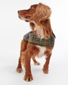 Cappotto per cani Tartan 