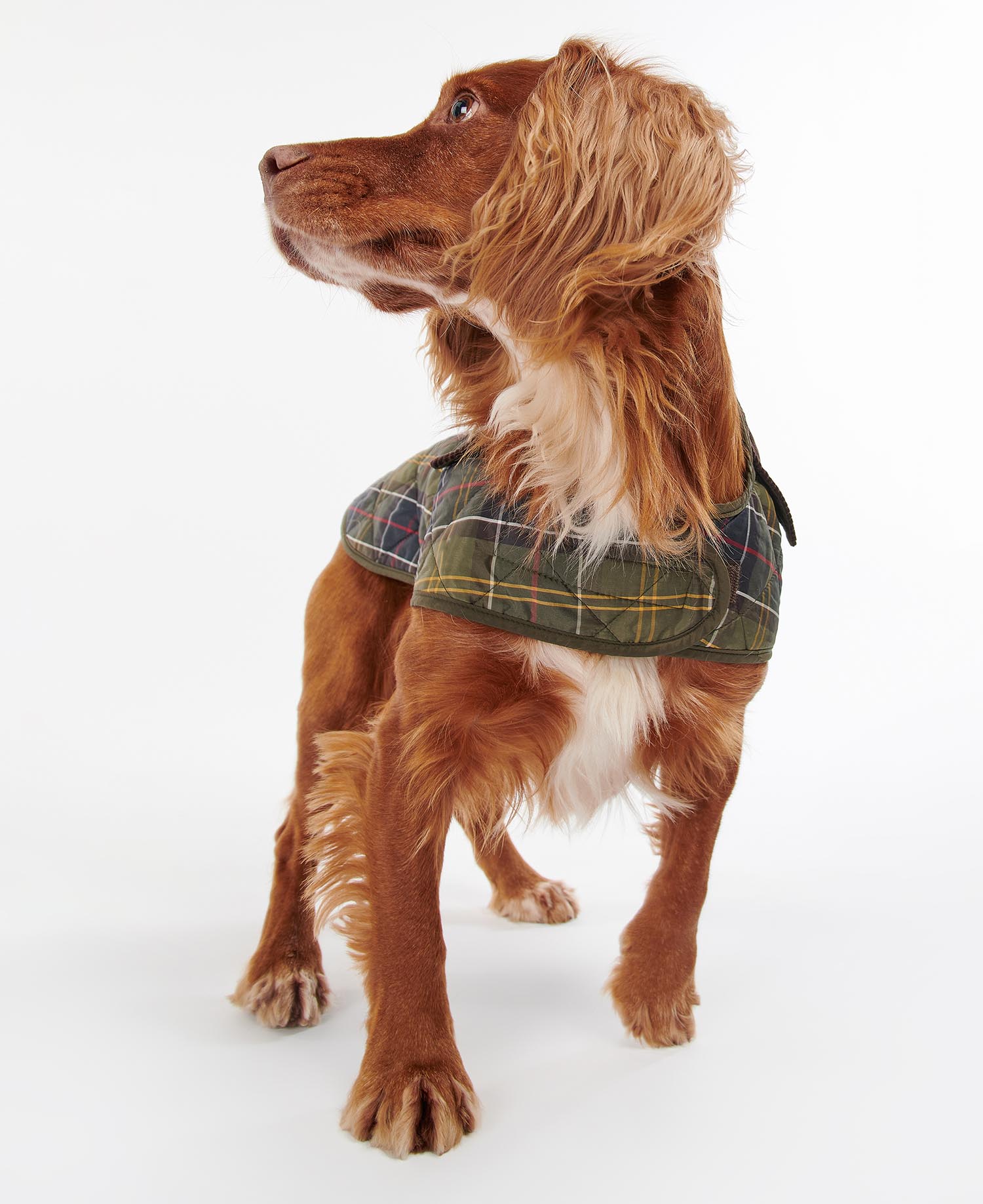 Cappotto per cani Tartan image number 2